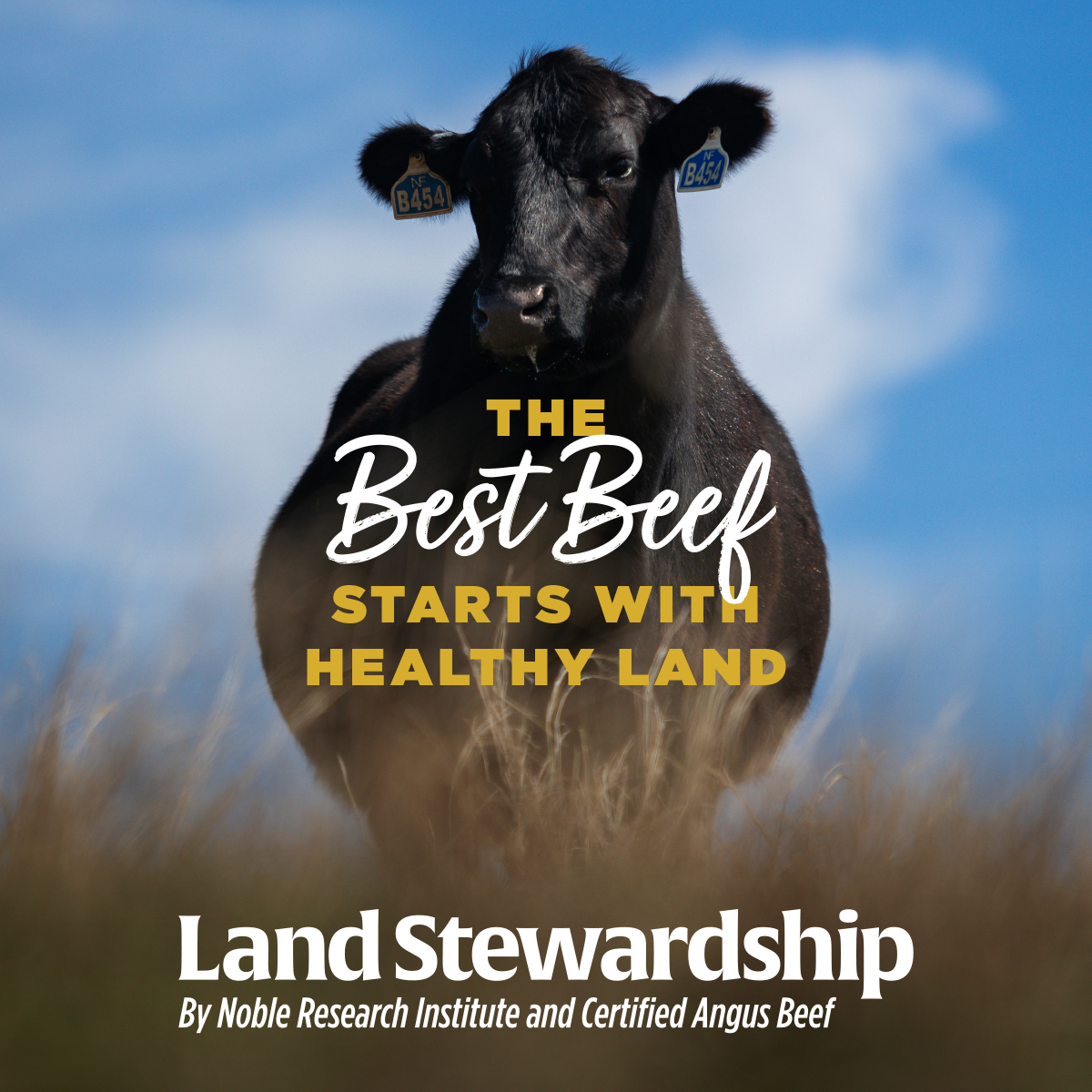 Land Stewardship