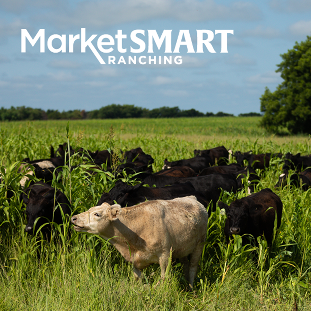 MarketSMART Ranching | Ardmore, OK | August 5-6, 2025