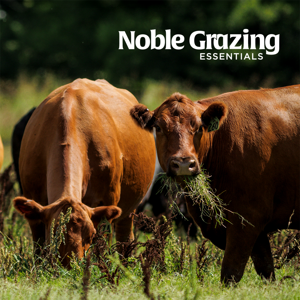 Noble Grazing Essentials | Ardmore, OK | September 3-5, 2025