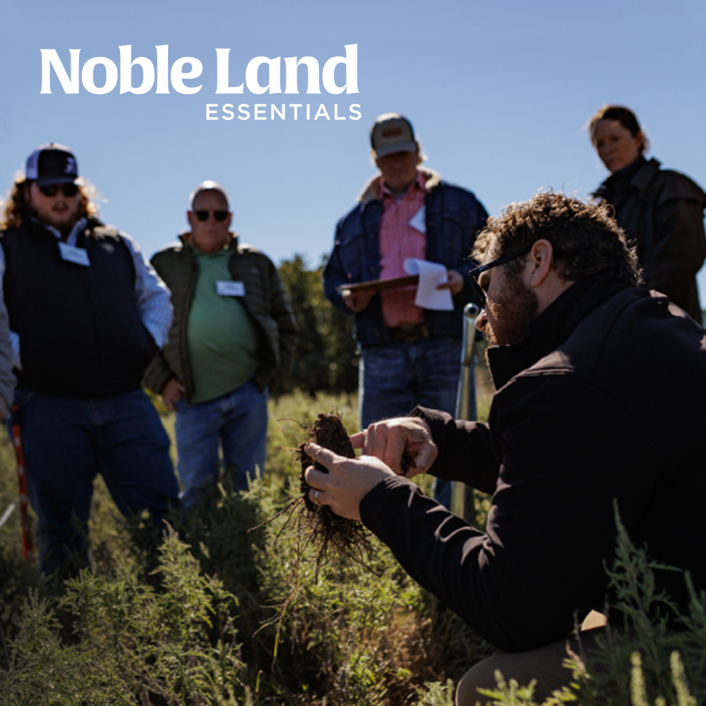 Noble Land Essentials | Bluffton, GA | November 11-12, 2025