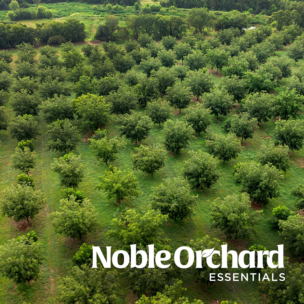 Noble Orchard Essentials | Stephenville, TX | March 17-19, 2026