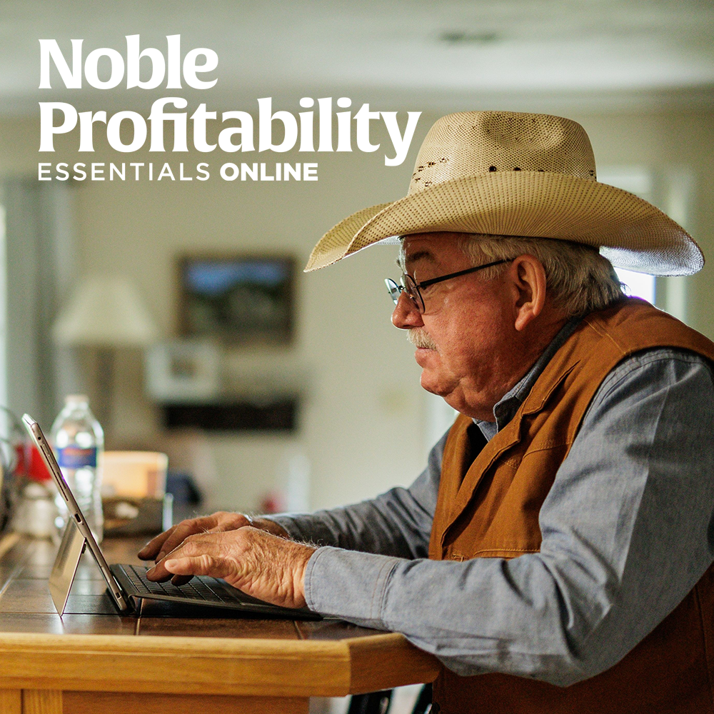 Noble Profitability Essentials Online