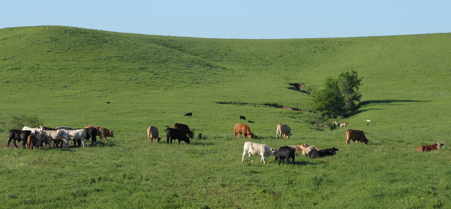 Noble Grazing Flint Hills Series | Council Grove, KS | 3 Course Series