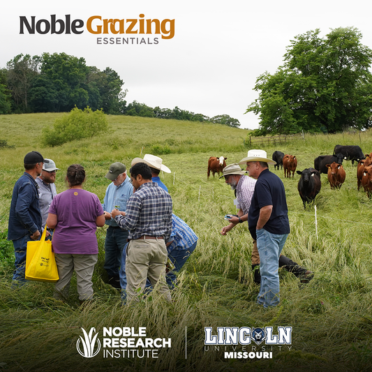 Noble Grazing Essentials | Jefferson City, MO | September 22-24, 2026