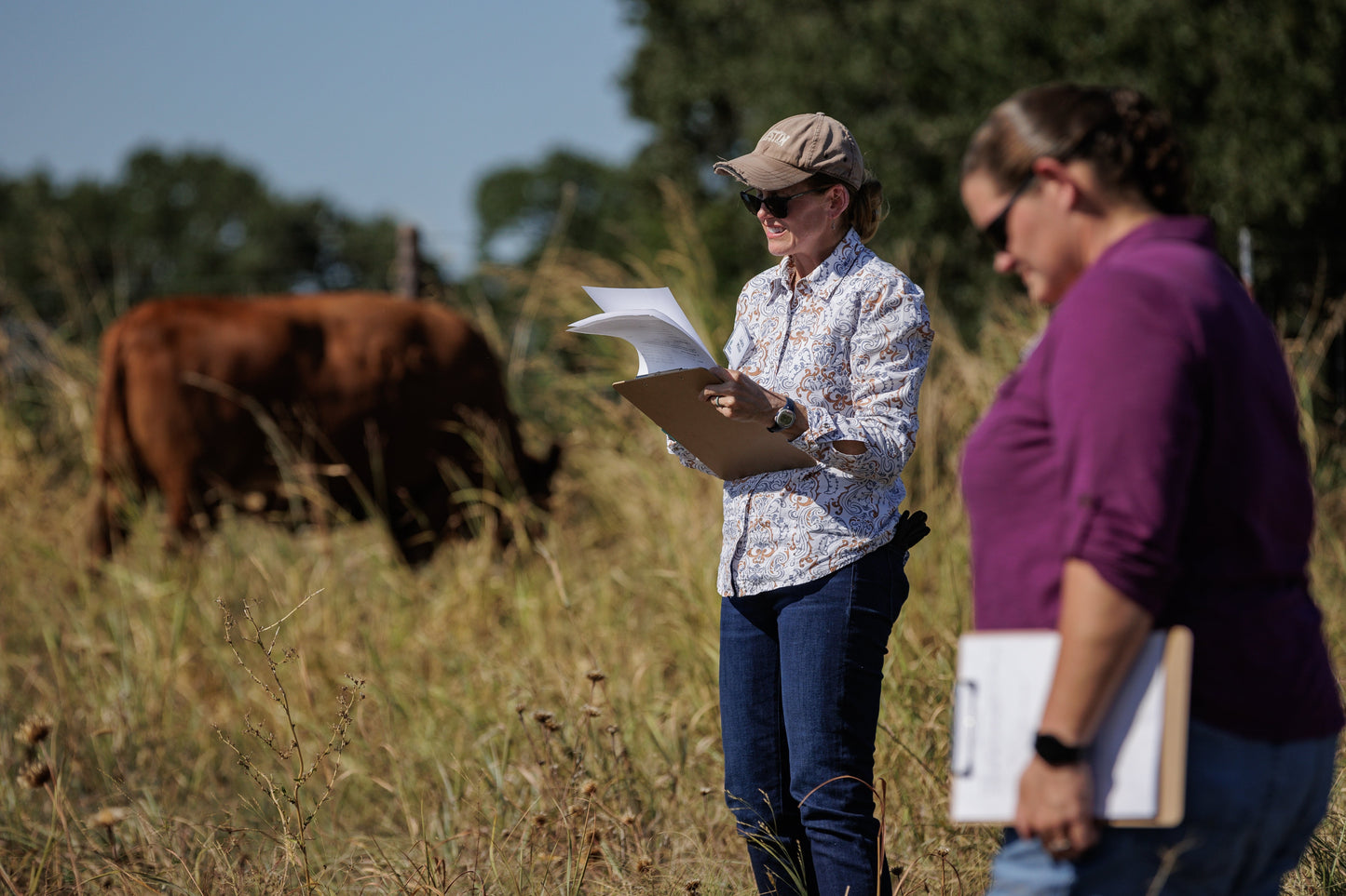 Noble Grazing Essentials | Perryville, AR | July 23 - 25, 2024