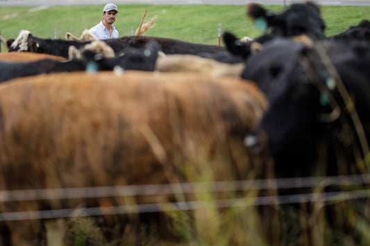 Noble Grazing Essentials | Ardmore, OK | April 16 - 18, 2024