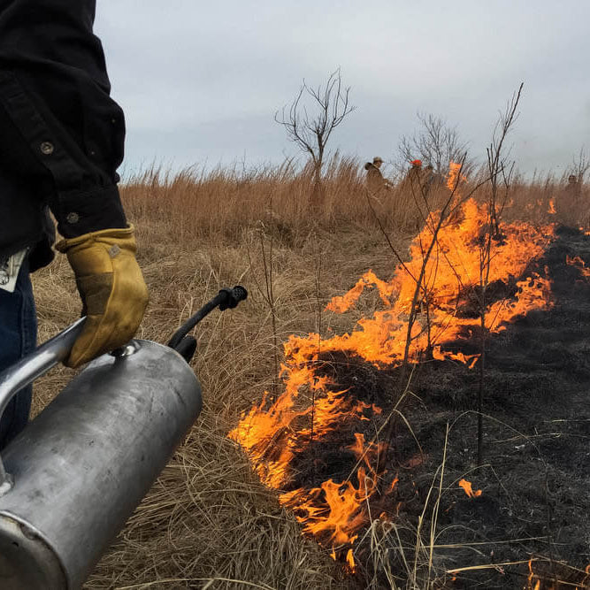 Prescribed Burn Workshop | Ardmore, OK | October 9, 2026